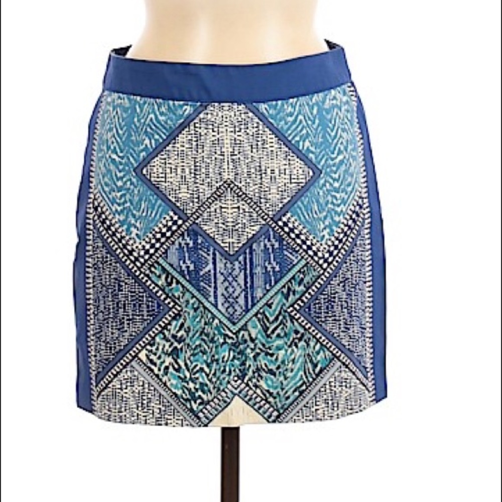 H&M skirt